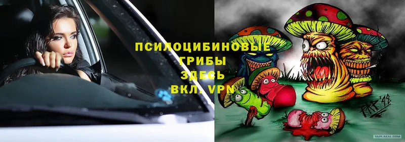 Псилоцибиновые грибы Magic Shrooms  MEGA tor  Кинель 